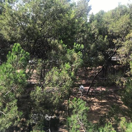 Apartamento Con Terraza, Garaje Y Piscina A 350M Playa Garrucha Exteriör bild